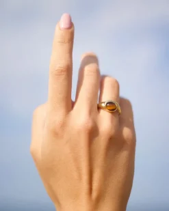 Anillo Ojo De Tigre Osiris