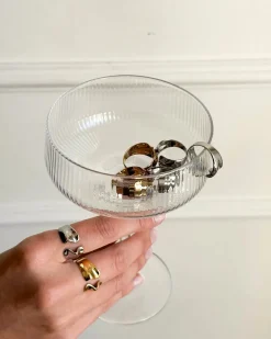 Anillo Plateado Nemo