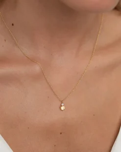 Collar Birthstone Noviembre - Citrino