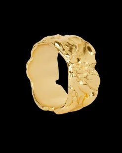 Golden Treasure Ring