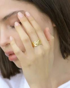 Golden Treasure Ring