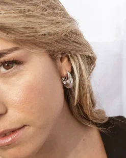 Silver Hoop Earrings Wild