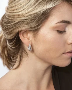 Silver Hoop Earrings Wild